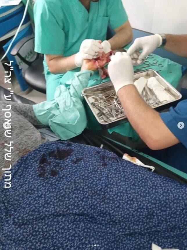 שורדת השבי אמילי דמארי (צילום: מתוך האינסטגרם של אמילי דמארי) שורדת השבי אמילי דמארי