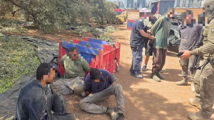 שישה שב"חים נעצרו בעמק יזרעאל