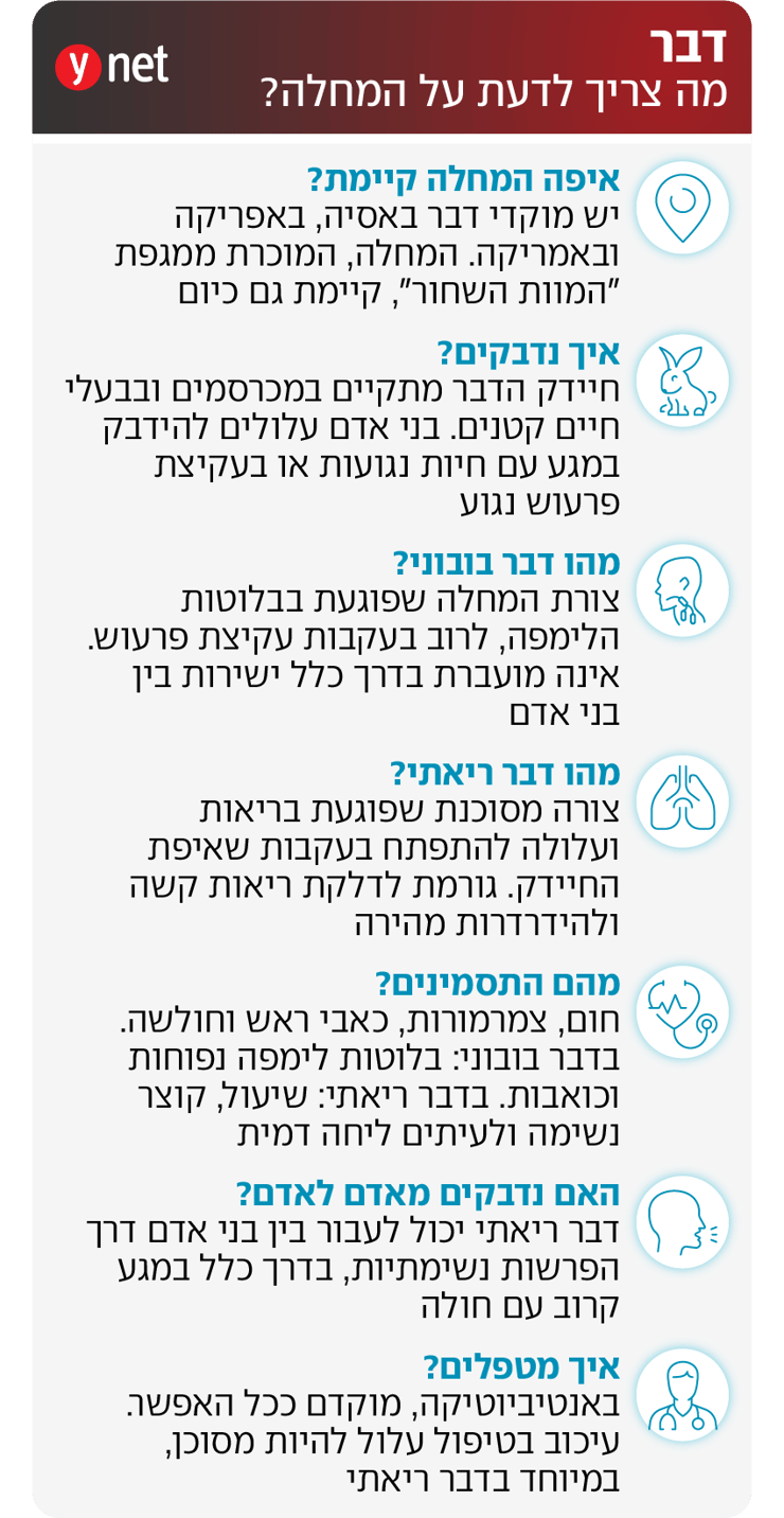 אינפו דבר אינפו דבר
