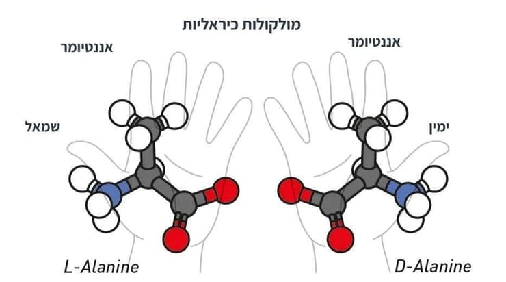 שתי הצורות של חומצה אמינית אלנין. D-Alanine הוא תמונת הראי, האננטיומר, הימנית, ואילו L-Alanine הוא תמונת הראי השמאלית של אותה חומצה אמינית. ניתן לראות שהמבנה של שתי המולקולות זהה והן תמונה מראה זו של זו