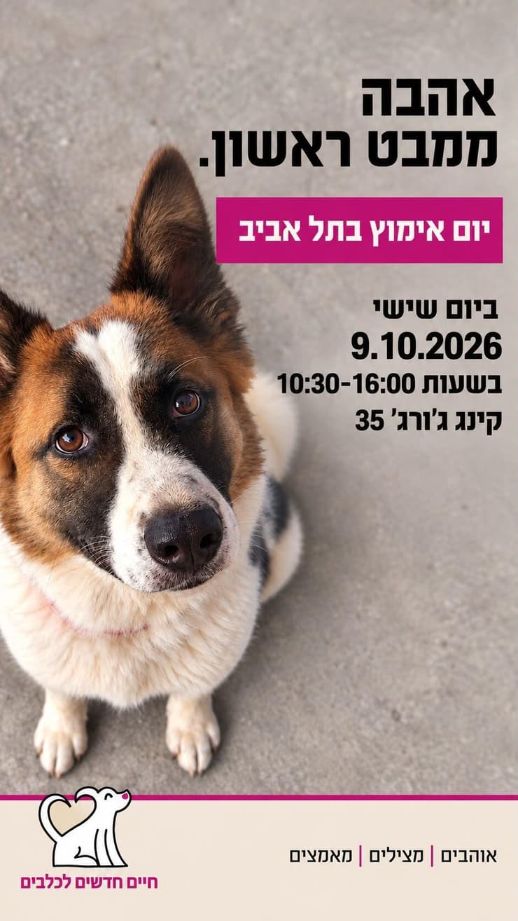 צילום: חיים חדשים לכלבים