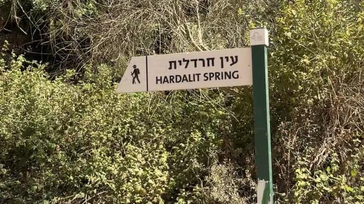 טבילה מהנה רגע לפני הסתיו (צילום: באדיבות חן יוסף) טבילה מהנה רגע לפני הסתיו