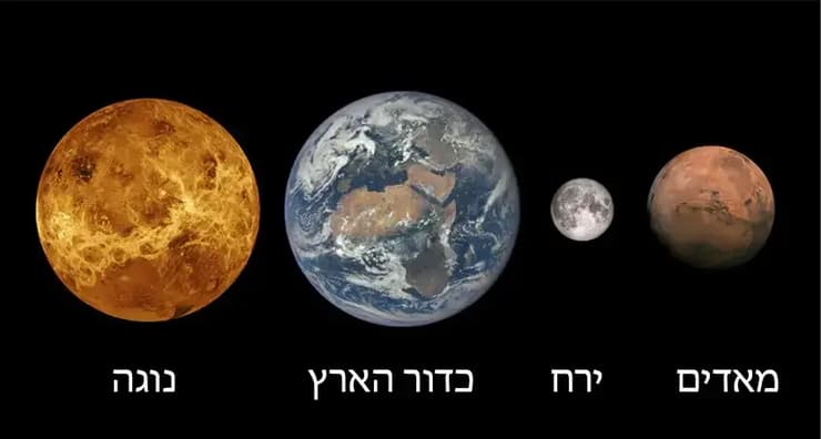 דומה מאוד בגודלו ובמסתו לכדור הארץ. השוואה בין נוגה, כדור הארץ, מאדים וירח (צילום: NASA/JPL-Caltech/ESA) דומה מאוד בגודלו ובמסתו לכדור הארץ. השוואה בין נוגה, כדור הארץ, מאדים וירח