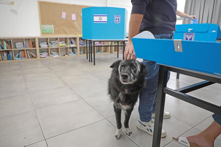 קלפי ביום הבחירות (צילום: דנה קופל) קלפי ביום הבחירות