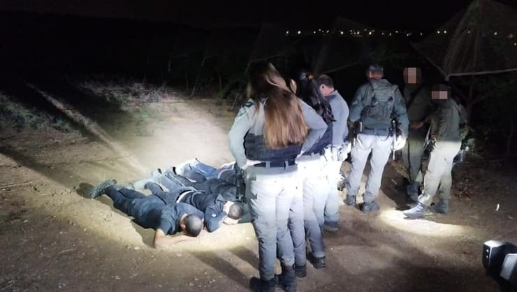 לוחמי מג״ב דרום וכוחות צה״ל איתרו 17 שוהים בלתי חוקיים שהסתתרו בכרמי גפנים בגזרת מטה יהודה