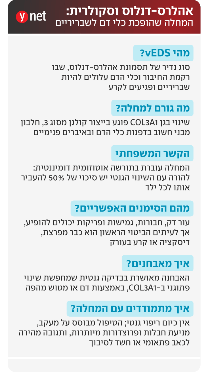 תסמונת אהרלס-דנלוס וסקולרית, vEDS תסמונת אהרלס-דנלוס וסקולרית, vEDS