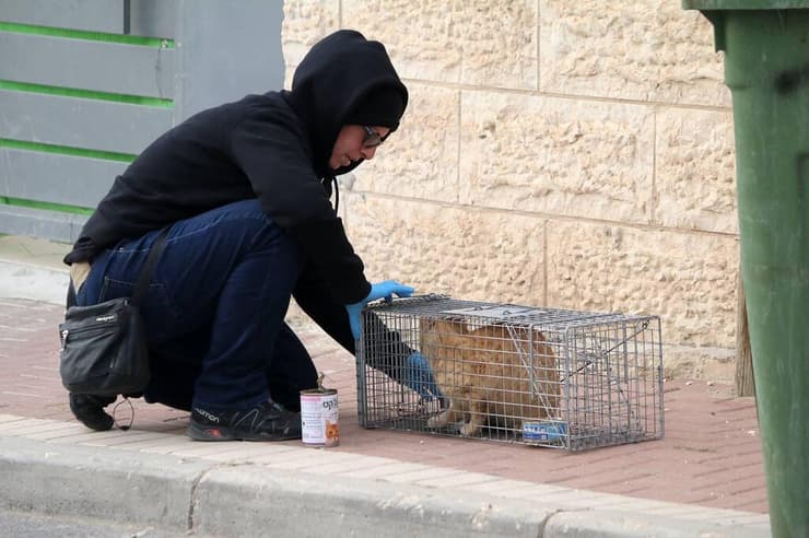 פעילה בפרויקט העיקורים והסירוסים של חתולי הקהילה ברחבי הארץ, מטעם עמותת הבזאר למען כלבתולים (צילום: באדיבות עמותת הבזאר למען כלבתולים) פעילה בפרויקט העיקורים והסירוסים של חתולי הקהילה ברחבי הארץ, מטעם עמותת הבזאר למען כלבתולים