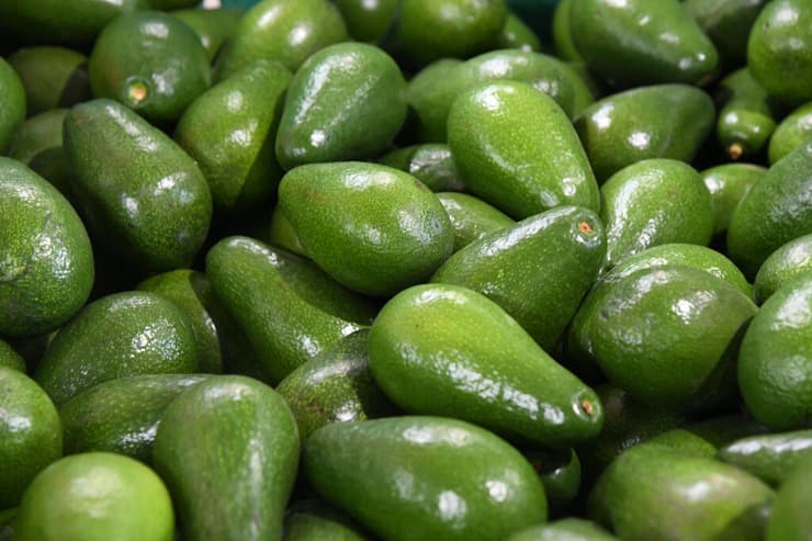 אבוקדו ישראלי (צילום: יאיר שגיא) אבוקדו