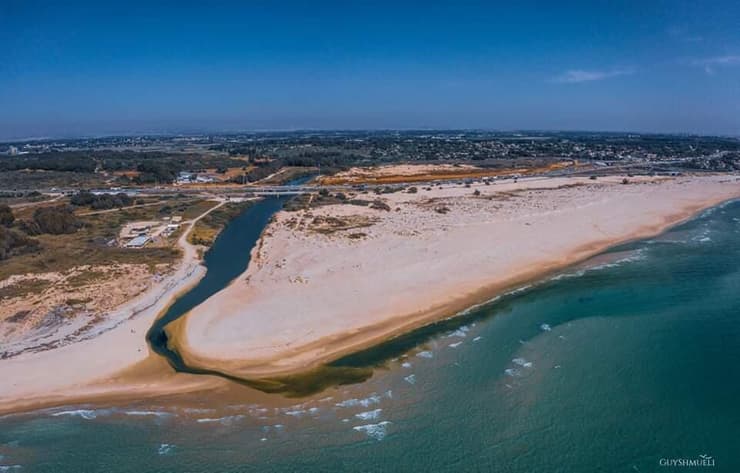 הזיהום בנחל אלכסנדר (צילום: ארז הררי) הזיהום בנחל אלכסנדר