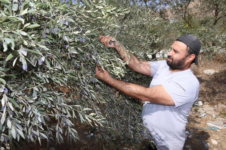 עלאם דראגמה במסיק בלובן א־שרקייה (צילום: שאול גולן) עלאם דראגמה במסיק בלובן א־שרקייה