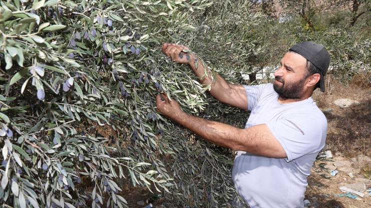 עלאם דראגמה במסיק בלובן א-שרקייה (צילום: שאול גולן) עלאם דראגמה במסיק בלובן א־שרקייה