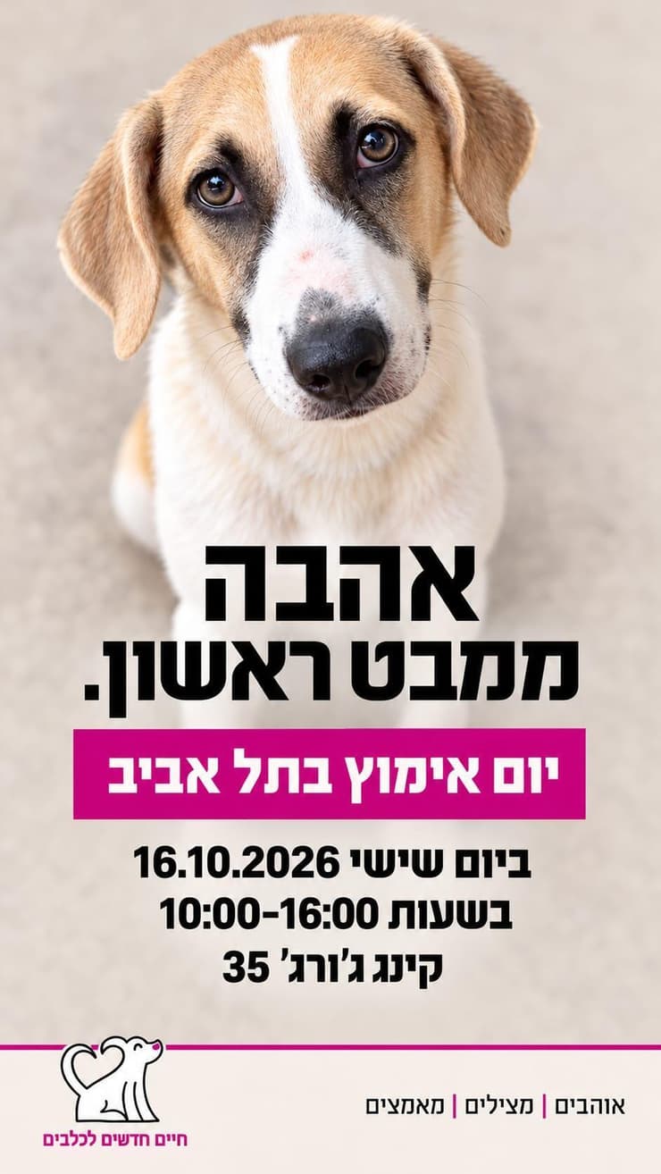 צילום: חיים חדשים לכלבים