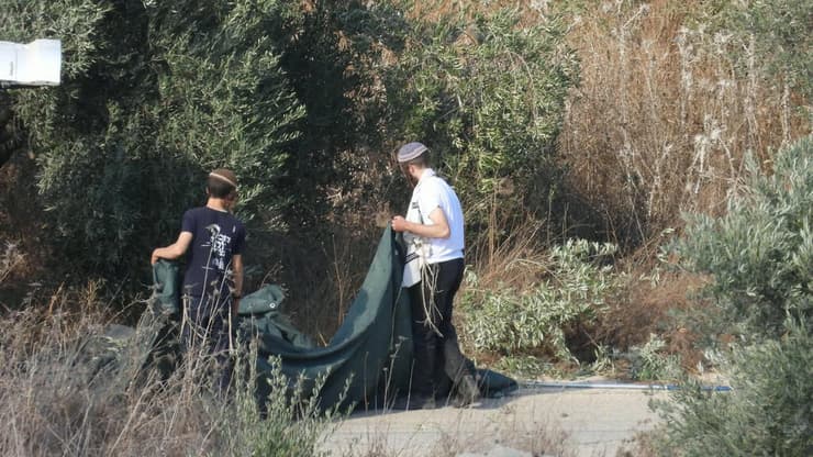 יהודים מוסקים עצים של פלסטינים. "יוזמה מקומית בכל התנחלות" (צילום: ישי דין) יהודים מוסקים עצים של פלסטינים