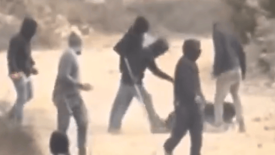 תיעוד מתקיפת צלמת העיתונות (צילום: רויטרס) מתנחלים ישראלים שורפים עצי זית ופצועים עיתונאי בתקיפה בגדה המערבית