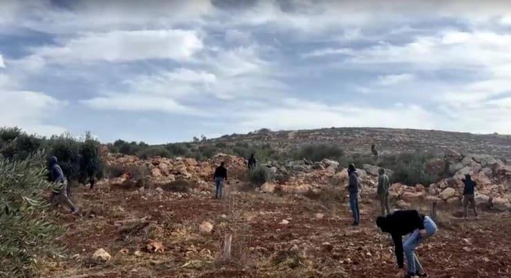 הזירה באבו פאלח (צילום: רויטרס) מתנחלים ישראלים שורפים עצי זית ופצועים עיתונאי בתקיפה בגדה המערבית