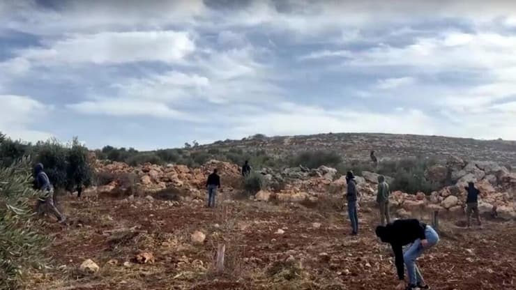 צילום: רויטרס מתנחלים ישראלים שורפים עצי זית ופצועים עיתונאי בתקיפה בגדה המערבית