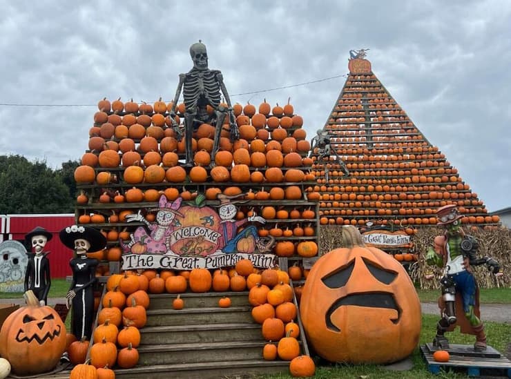 חוות הדלעות (צילום מסך מתוך הפייסבוק של The Great Pumpkin Farm ) חוות הערמונים
