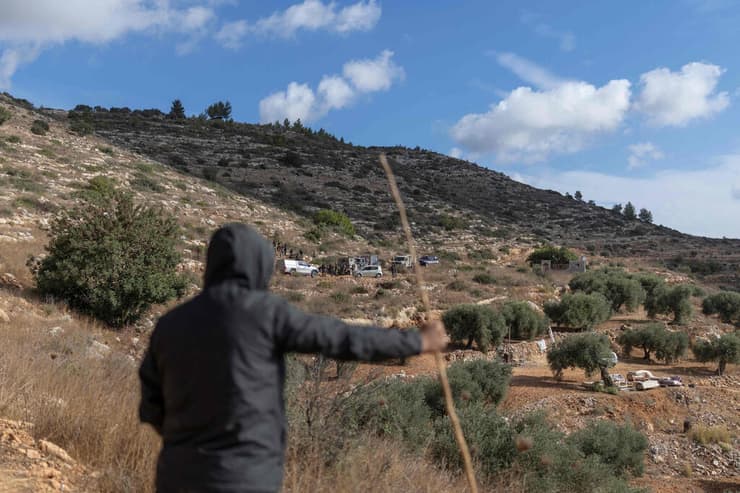 עצי זיתים בדיר אבו משעל (צילום: Ilia Yefimovich / AFP) דיר אבו משעל