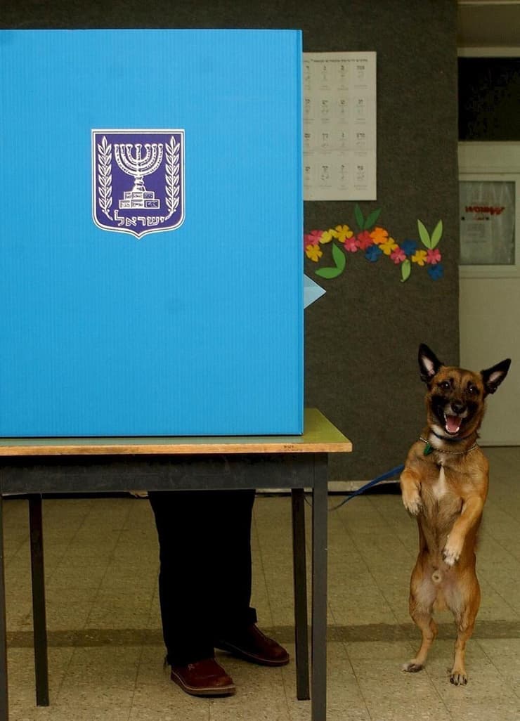 הצבעה מאחורי פרגוד בירושלים, 2003