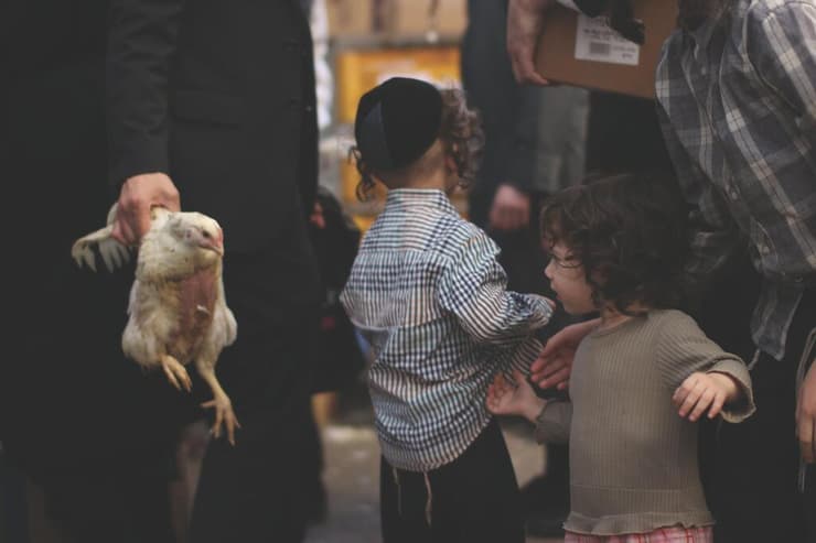 "היה אמן בכל רמ"ח איבריו". מתוך "לביא ליפשיץ: צילומים" (צילום: לביא ליפשיץ) מתוך "לביא ליפשיץ: צילומים"