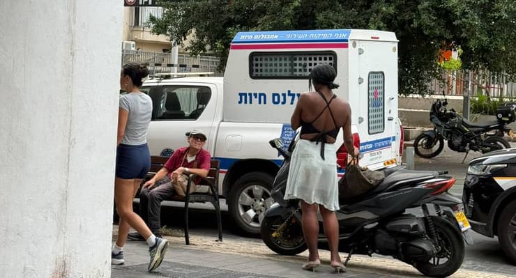 דרי רחוב בדיזנגוף