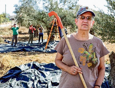 שפיצר: "אומרים שאנחנו אנרכיסטים. אני בת 63 , סו בת 82 וג'ו בת 80. אנחנו מפחידות" (צילום: שאול גולן) "שפיצר: "אומרים שאנחנו אנרכיסטים, שבאנו לעשות פרובוקציות. אני בת 63 , סו בת 82 וג'ו בת 80 . אנחנו מפחידות מאוד. מאוד. לא הייתי ממליצה לאיש להיתקל בנו"