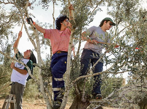 "איזו מין יהדות זו?". המסיק בג'אלוד, השבוע (צילום: שאול גולן) המסיק בג'אלוד, השבוע