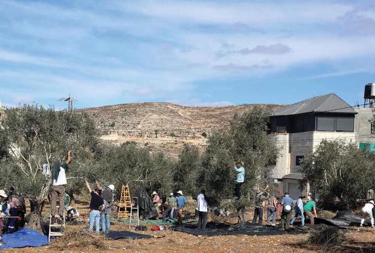 המסיק בג'אלוד, השבוע. "הילדים כאן לא רגילים לראות יהודים שבאים לעזור. רק השבוע היו פה ארבע תקיפות" (צילום: שאול גולן) המסיק בג'אלוד, השבוע. "הילדים כאן לא רגילים לראות יהודים שבאים לעזור. רק השבוע היו פה ארבע תקיפות"