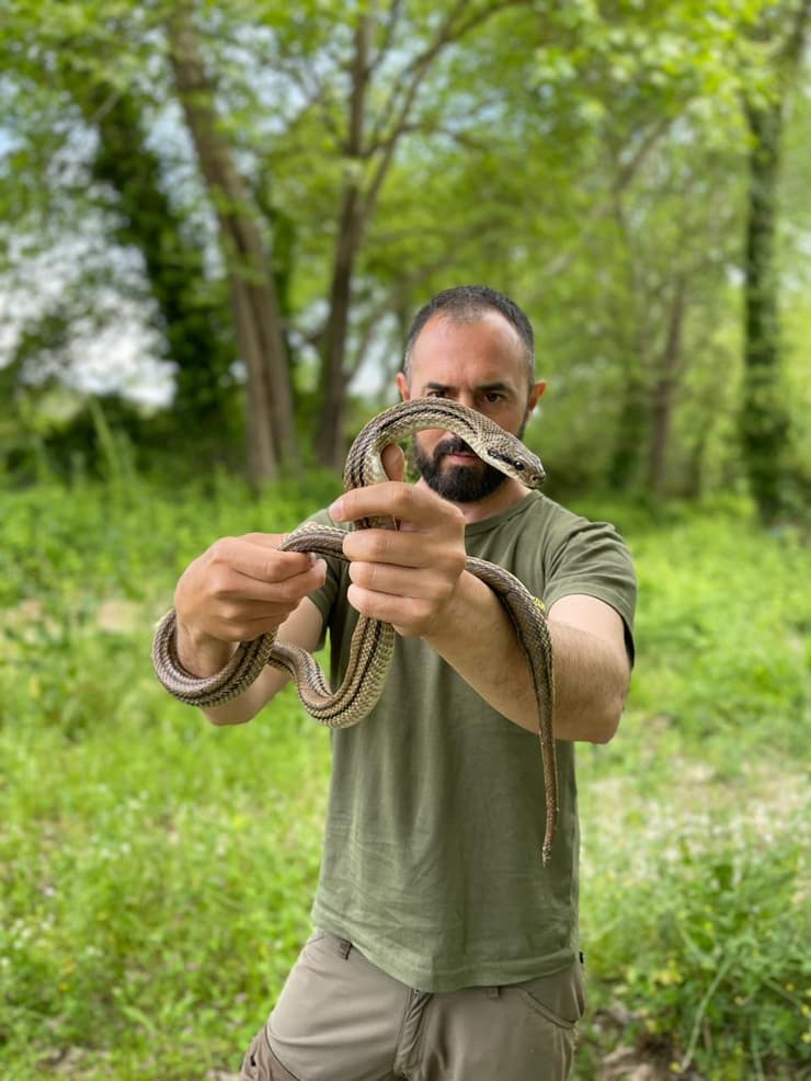אפוסטולוס כריסטופולוס, דוקטורנט באוניברסיטת אתונה (צילום: The National and Kapodistrian University of Athens) אפוסטולוס כריסטופולוס, דוקטורנט באוניברסיטת אתונה