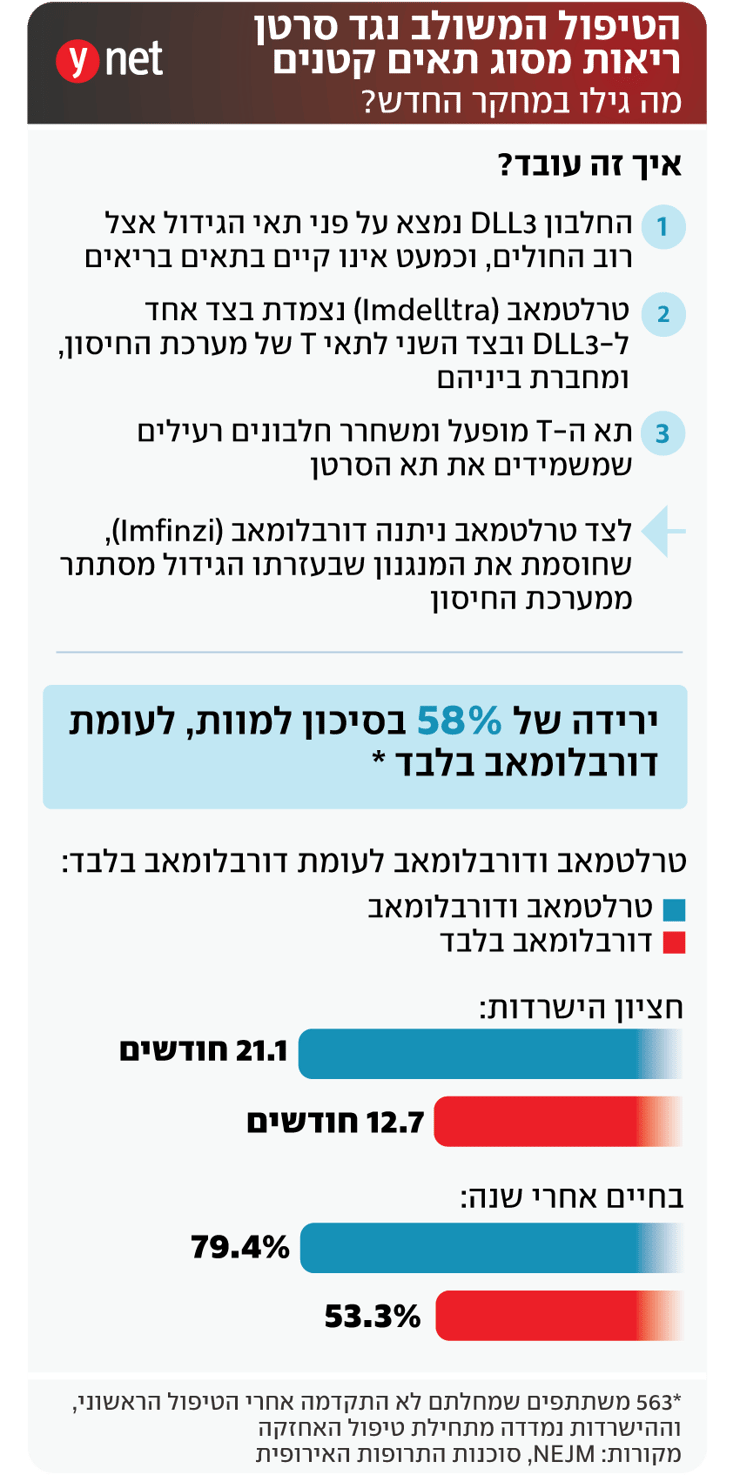 אינפו שילוב תרופתי נגד סרטן הריאות מסוג תאים קטנים