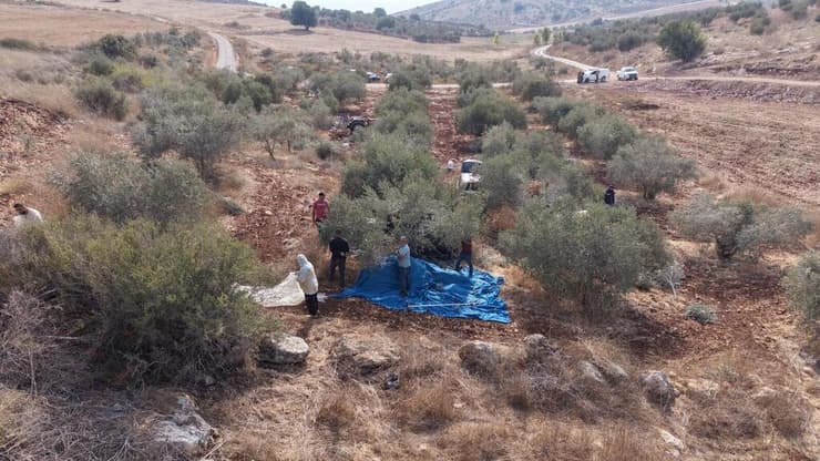 צילום: דובר צה"ל המסיקים המתואמים ביהודה ושומרון