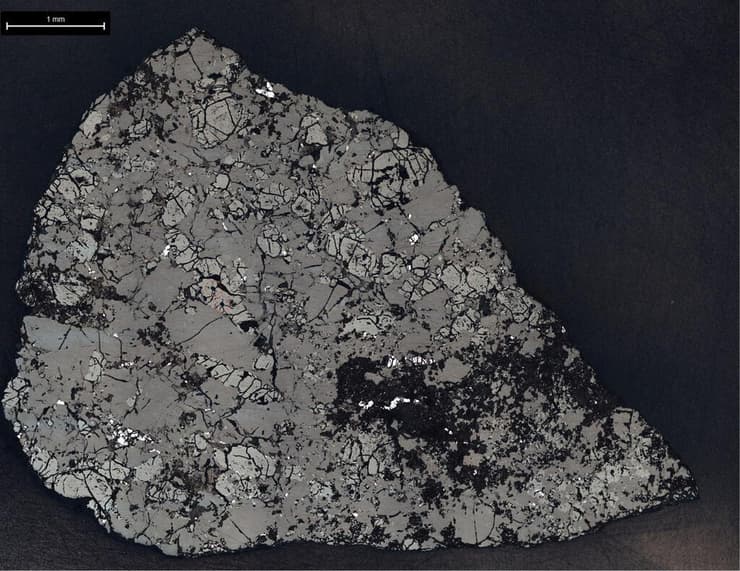 ההרכב של המטאוריט (צילום: NASA/JPL-Caltech/Handout via REUTERS) ההרכב של המטאוריט