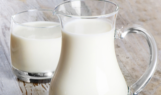 האיגוד העולמי לאוסטיאופורוזיס: העדיפו מוצרי חלב על תחליפים מעשרים לבריאות העצם