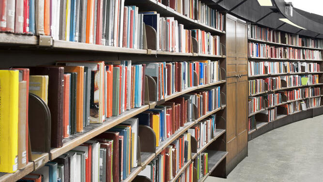 Book shelves (Photo: Shutterstock) Book shelves