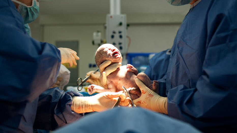 Фото: shutterstock