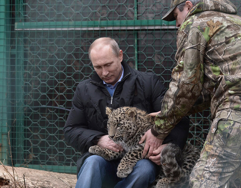 Putin holding a cheetah 