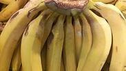 בננה בננות השחירו השחרה כתמים