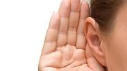 עובדות מדהימות על האוזן