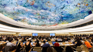 Совет ООН по правам человека 