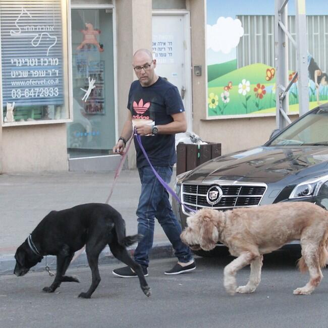 אמרתי לכם שאני סלב