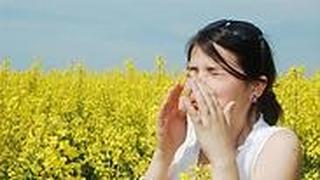 קשר ישיר בין חרדה ובין אלרגיה עונתית