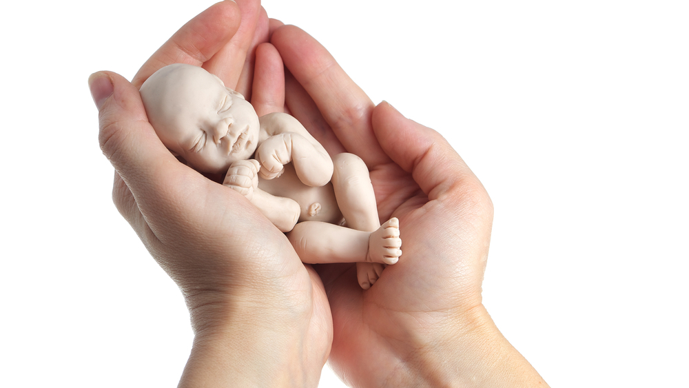 A fetus in woman's hands, illustration (Photo: Shutterstock) A fetus in woman's hands, illustration