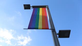 Флаг ЛГБТ-общины
