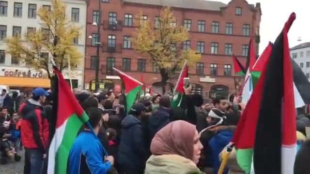 Pro-Palestinian rally in Malmo