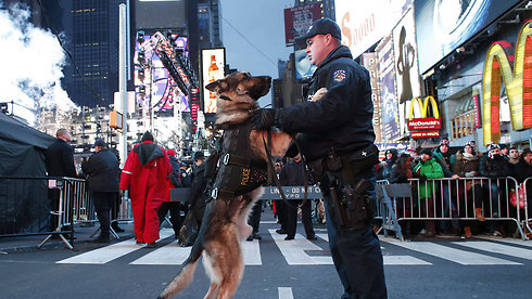 כלב בשירות המשטרה