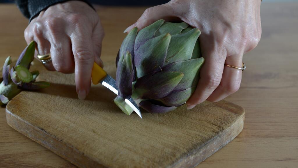 Artichoke 