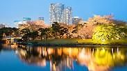 5 מקומות בטוקיו שלא כולם שמעו עליהם: הכל ב-MUST