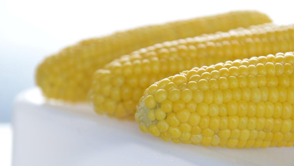Corn cobs 
