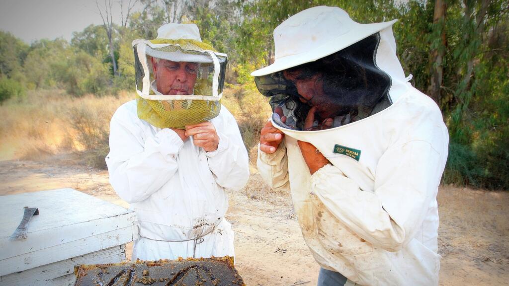 Пчеловоды в кибуце Яд-Мордехай 