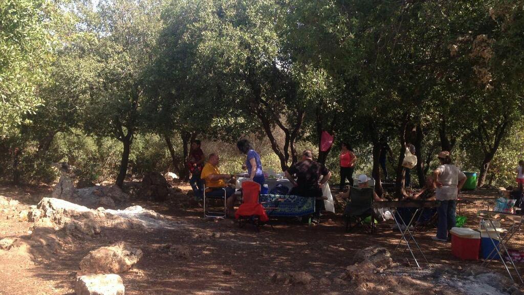 Weekend visitors to Galilee parks 